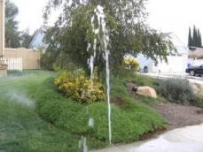 Need Emergency in broken Sprinkler, Call our El Cajon Sprinkler Repair