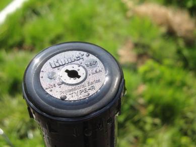 Hunter sprinkler head installed by an irrigation contractor in El Cajon CA